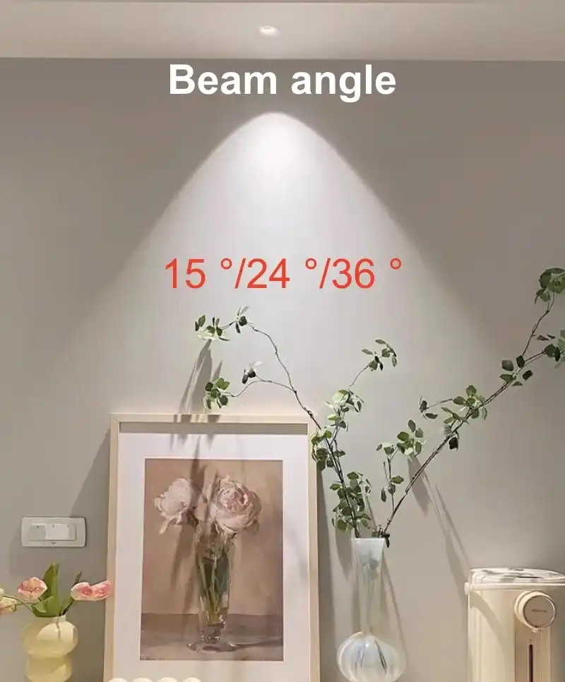 spot lights spot lights