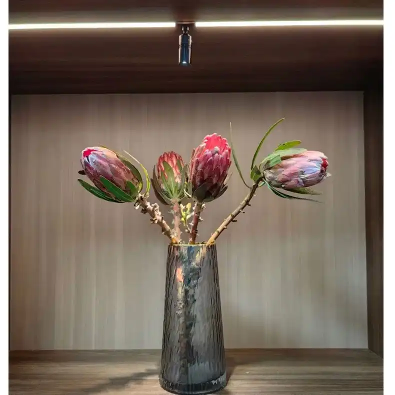 LED cabinet lights
